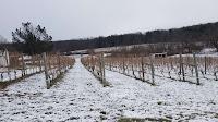 Loudoun History along the W&OD Railbed & The Barns at Hamilton Station Vineyards