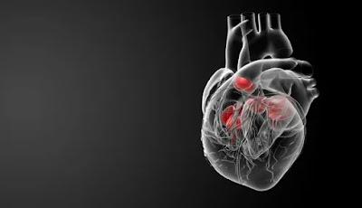Cardiac Prosthetic Devices Market Cardiac prosthetic devices are artificial heart tissue repair and replacement devices that are implanted permanently or temporarily.