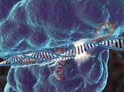 Genome Engineering Market Size, Share, Forecasts Analysis, Company Growth, Profiles Regions 2025