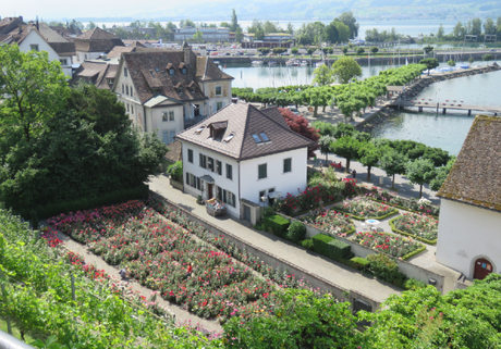 Rapperswil: of Rose Gardens and much more