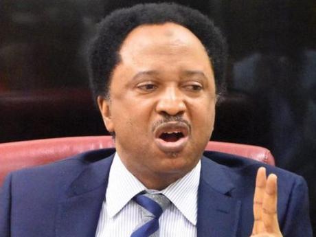 Shehu Sani Reacts As Sunday Igboho’s Detention Is Extended by Six Months