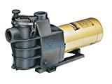 Hayward Max-Flo Pump for in Ground Pools (1-1/2 Horsepower)