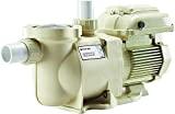 Pentair SuperFlo VS Variable Speed Pool Pump, 342001