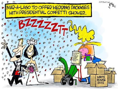 Presidential Confetti