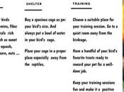 Choose Among Best Breeds Make Sure Your ‘Fido Pedigree