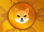 What Happening Shiba Coin Market Will Impact Price Value