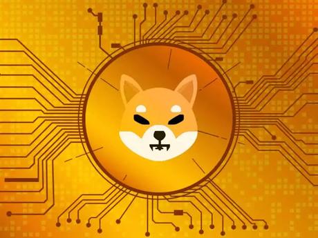 What is happening in Shiba coin market