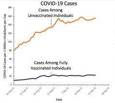 The Pandemic of Unvaccinated Fools