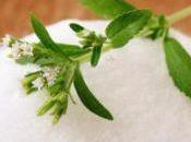 Green Polyols Market Size, Share, Insights, Trends, Outlook, Opportunity Analysis 2018-2026