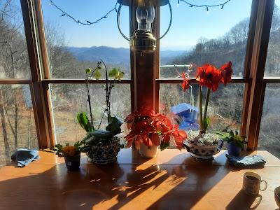 February Flowers