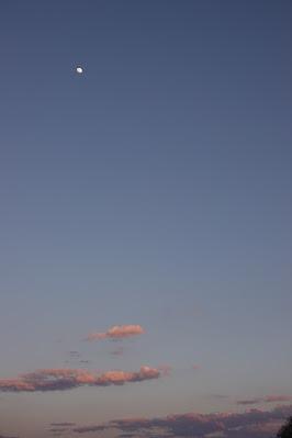 Evening Skies
