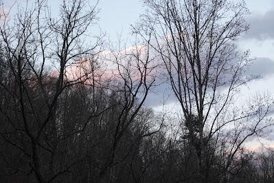 Evening Skies