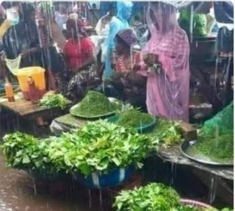Woman Calls Off Her Wedding After Discovering Her Man’s Mother Sells Ugu In The Market