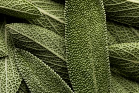 How to Create Your Own Herb Garden How to Create Your Own Herb Garden