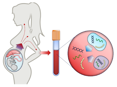 Non-invasive Prenatal Testing (NIPT) Market Noninvasive prenatal testing (NIPT), also known as noninvasive prenatal screening (NIPS), is a technique for estimating the likelihood that a foetus may be born with genetic abnormalities