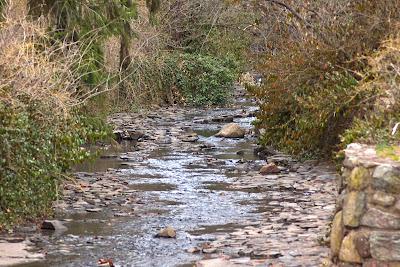 A park in Maplewood, New Jersey
