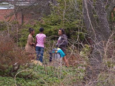 A park in Maplewood, New Jersey