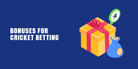 How to Find The Best Sites For Cricket Betting in India?