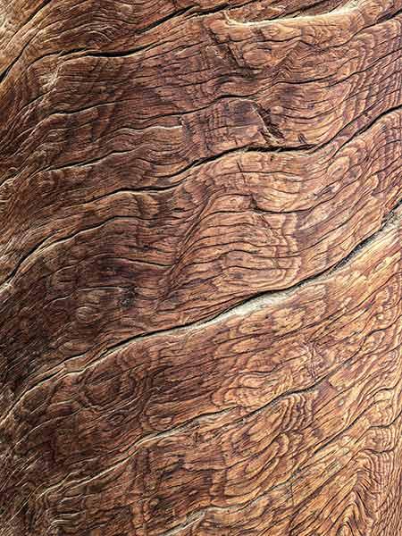 Texture in Photography – How to Use it to Your Advantage? texture on wood