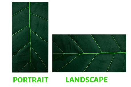 Texture in Photography – How to Use it to Your Advantage? Portrait and landscape orientation