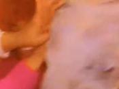 Disguise Nigerians React Video James Brown Touching Lady’s Chest