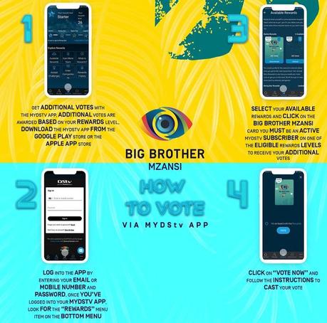 How To Vote On DStv App For Big Brother Mzansi - Paperblog