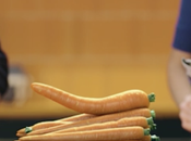 Peyronie's Disease Treatment Market Global Industry Analysis, Size, Share, Growth, Trends, Forecast 2018 2026