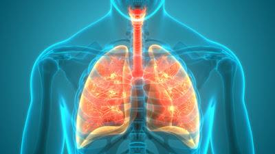 Cystic Fibrosis Market Cystic fibrosis is a hereditary disease that mostly affects the lungs, but also affects the pancreas, liver, and kidney.