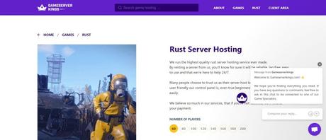9 Best Rust Server Hosting Providers in 2022 GameServer kings