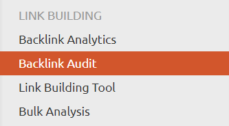 Backlink-Audit