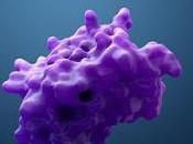 Enzymes Market Global Analysis, Size, Share, Growth, Trends, Forecast 2024