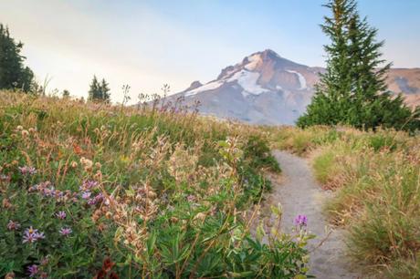 Hiking the Pacific Crest Trail: A Long-Distance Hiking Adventure