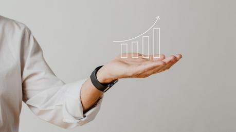 Examples of Revenue Goals