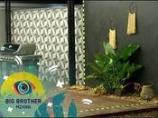 BBMzansi: Yesterday’s Diary Session Revealed Excitement Division