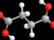 Succinic Acid Market Growth Statistics,Size, SWOT Analysis, Forthcoming Developments, Upcoming Investments Forecast 2018 2026