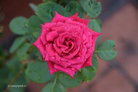 How to name it ? - Kyiv and not Kiev ?!? How to name it ? - Kyiv and not Kiev ?!?