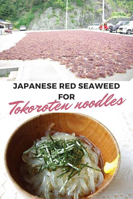Image with a red seaweed field and a bowl of tokoroten