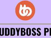 Best BuddyBoss Plugins Online Communities 2022