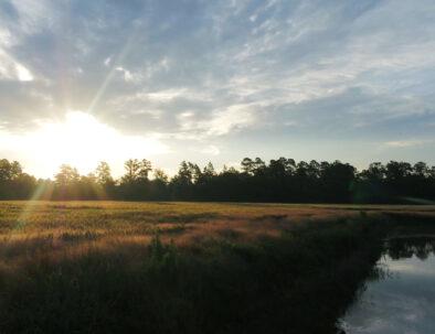 The Ultimate Guide To Golf Package Deals Myrtle Beach | What You Need to Know