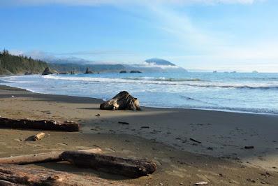 KING TIDE RENDEZVOUS IN OREGON Guest Post by Caroline Hatton at The Intrepid Tourist