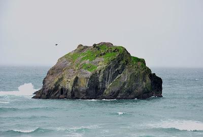 KING TIDE RENDEZVOUS IN OREGON Guest Post by Caroline Hatton at The Intrepid Tourist