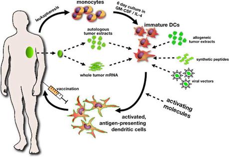 dendritic cell and tumor cell cancer vaccines