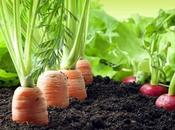 Tips Preparing Your Garden Soil Spring
