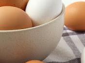 Replacement Ingredients Market Status, Size, Share, Forecast Trend Analysis 2019 2027