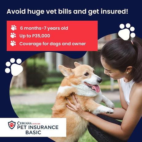 Cebuana Lhuillier first ever dog Pet insurance is now here!
