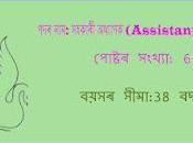 Golaghat Commerce College Recruitment 2022, সহকাৰী অধ্যাপক খালী