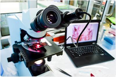 Digital pathology is a subspecialty of pathology that focuses on data management using data acquired from digitised specimen slides.