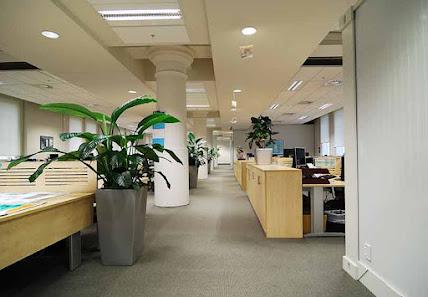 Commercial Pest Control Commercial Pest Control