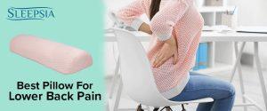 Pillow for Back Pain