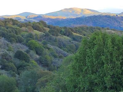 HIKE IN THE OAKLAND HILLS, CA: Anthony Chabot Regional Park